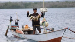 Nelayan Sumba Dilibatkan Kelola Laut Sawu, Data CODRS Jadi Dasar Kebijakan Perikanan Berbasis Masyarakat