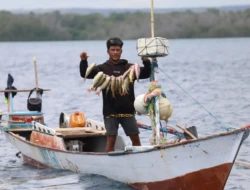 Nelayan Sumba Dilibatkan Kelola Laut Sawu, Data CODRS Jadi Dasar Kebijakan Perikanan Berbasis Masyarakat