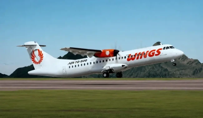 Wings Air