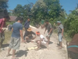 Jalan Menuju Kantor Kecamatan Wewewa Tengah Diperbaiki Secara Gotong Royong, Bupati Ratu Wulla Sumbang 20 Zak Semen